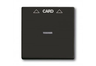 Накладка карточного выключателя шато/черный Basic 55