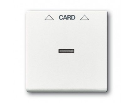 Накладка карточного выключателя белая solo/future