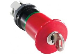 Кнопка MPEK4-11R "ГРИБОК" с фиксацией с ключом 71