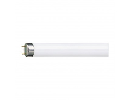 Лампа люминесцентная Philips 600 мм 18Вт d26 G13 нейтрально-белый
