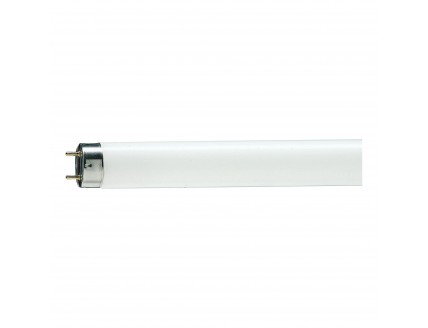 Лампа люминесцентная Philips 900 мм 30Вт d26 G13 нейтрально-белый
