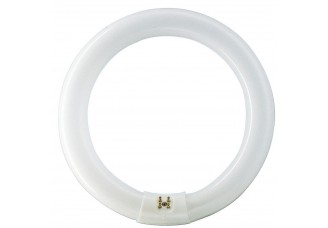 Лампа люминесцентная Philips "кольцо" G10q D308/d31 32Вт нейтральный белый