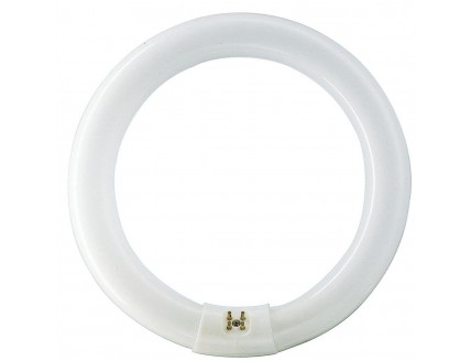 Лампа люминесцентная Philips "кольцо" G10q D308/d31 32Вт нейтральный белый