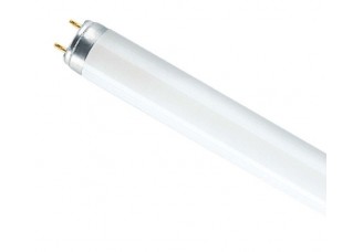 Люминесцентная лампа T8 BASIC OSRAM