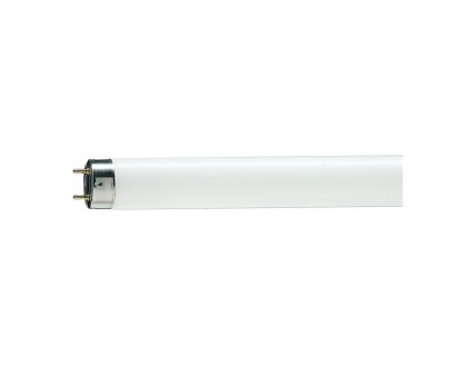 Лампа люминесцентная 1200мм 36Вт d26 G13 нейтрально-белый (цветопередача 63%) Philips