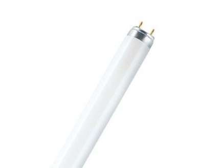 Лампа люминесцентная 1200мм линейная d26мм 36Вт G13 нейтральная холодно-белая 4000К Osram Lumilux