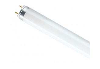 Лампа люминесцентная 600 мм 18Вт d26 G13 дневного света (цветопередача 70%) Osram