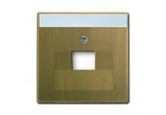 Накладка 1-ой TF/PC розетки, Латунь античная Династия