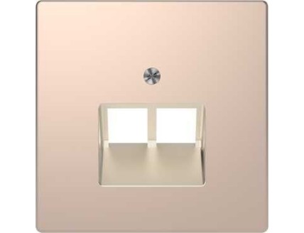 D-Life ЦЕНТРАЛЬНАЯ НАКЛАДКА для розетки 2-ной RJ45, ШАМПАНЬ , SD