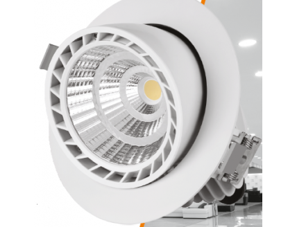 Светильник LED "ВАРТОН" Downlight поворотный круглый 40° 170*140 мм 30W 4000K 1/12