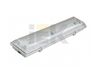 Светильник ЛСП3901А ABS/PS 2х18Вт IP65 ИЭК