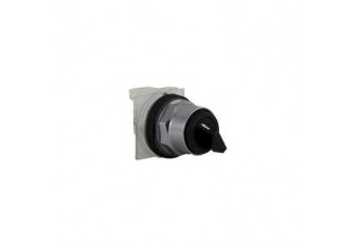 ПЕРЕКЛЮЧАТЕЛЬ 30ММ 9001KS11BH1