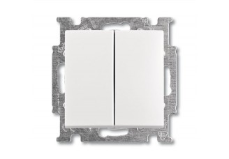Выключатель / Переключатель Basic 55 двуклавишный 10А, 250В белый
